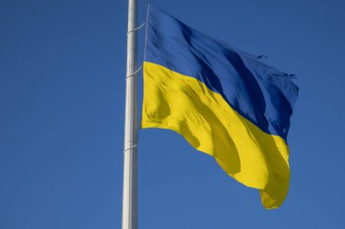 Kyiv, Ukrayna. 11 / 30 / 2023: Ukrayna 'nın ulusal bayrağı şehrin merkezinde rüzgarda dalgalanıyor