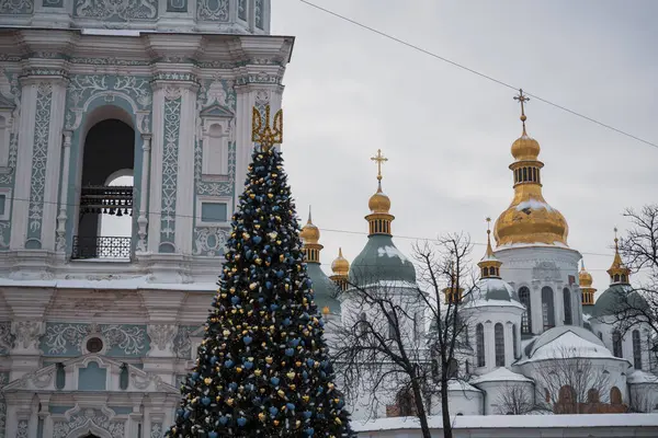 Kyiv Ukraine December 2023 Country Main Tree Installed Sofivska Aquare Стокове Фото