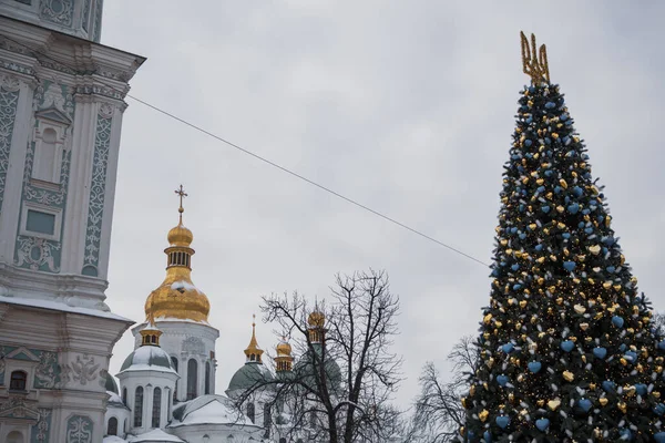 Kyiv Ukraine December 2023 Country Main Tree Installed Sofivska Aquare Стокова Картинка