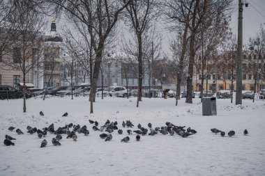 KYIV, UKRAINE - 8 ARALIK 2023 Sabahtan beri, şehir kar altında. Yollar kaygandır, ama insanlar kendi işleriyle ilgilenmeye başlarlar. ŞEHRİ YILI YIL İÇİN BİR YIL ÖNCE.