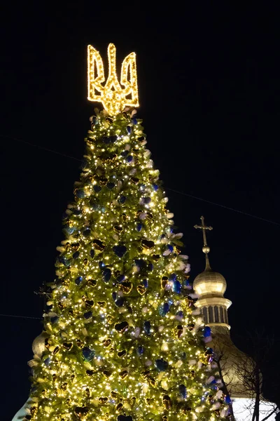 Kyiv, Ukrayna - 20 Aralık 2023: Sofiyivska Meydanı 'ndaki Kyiv' in merkezine bir Noel ağacı dikildi. Çelenkler akşamları çok güzel parlıyor. Noel ağacı 2023-2024.