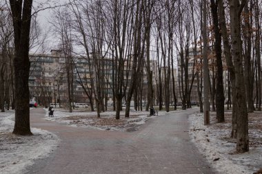 Kyiv, Ukrayna - 20 Ocak 2024: Borshchagivka 'nın rahat uyku bölgesi. İnsanlar boş günlerinde parkta yürüyorlar. Yunist Park 'ta bir sürü farklı ağaç var. konut binalarının yanında yer almaktadır