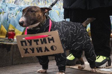 Kyiv, Ukrayna. 18 Şubat 2024 'te, 