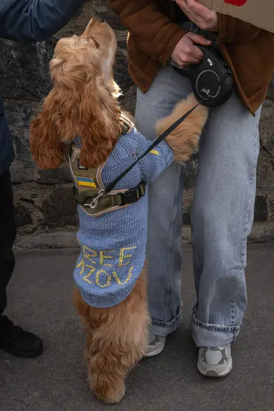 Kyiv, Ukrayna. 3 Mart 2024 'te, birçok insan, iki yıldır Ruslar tarafından esir tutulan Azov savaş esirlerini desteklemek için Kyiv' in merkezine gitti..