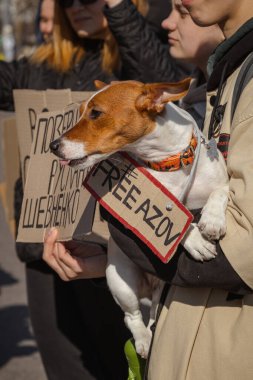 Kyiv, Ukrayna. 10 Mart 2024 'te birçok genç ve ilgili insan gün boyunca şehir merkezine giderek 