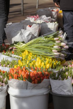 Kyiv, Ukrayna. 8 Mart 2024 'te, çok sabahtan itibaren, erkekler çiçeklerle şehirde dolaşıp kadınlarına sunarlar. Kadınlar da çiçek buketleri taşır. Sıcak, güneşli ve neşeli bir hava.