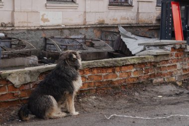 Kyiv, Ukrayna. 21 Mart 2024 sabahı erken saatlerde Ruslar şehre füze fırlattı. Roketler düşürüldü ama parçalar şehre düştü. Hasarlı evler ve yolda bir krater. Yaralılar var..