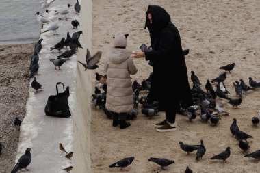 Odesa, Ukrayna. 20 Mart 2024 'te birçok güvercin ve martı, gri gökyüzü ve Karadeniz' in arka planına karşı uçar. Güzel manzara. İnsanlar deniz kenarındaki kuşları beslemeye geldi.