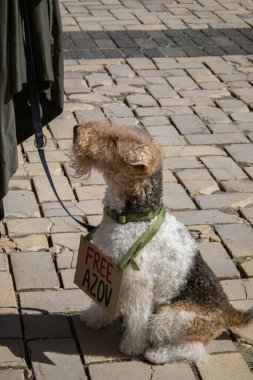 Kyiv, Ukrayna. 7 Nisan 2024 'te, birçok ilgili insan, Azov ordusunun iki yıldır Rusya' da tutsak olduğunu hatırlatmak için şehir merkezine geldi. İnsanlar arabalarıyla gidiyorlar ve pankartlarla korna çalıyorlar..