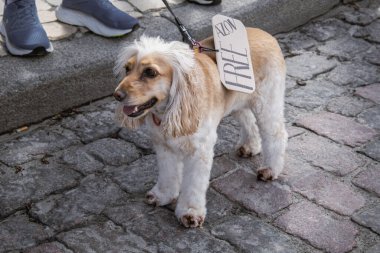 Kyiv, Ukrayna. 7 Nisan 2024 'te, birçok ilgili insan, Azov ordusunun iki yıldır Rusya' da tutsak olduğunu hatırlatmak için şehir merkezine geldi. İnsanlar arabalarıyla gidiyorlar ve pankartlarla korna çalıyorlar..