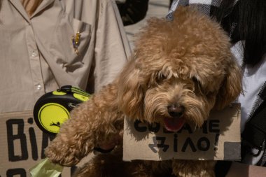 Kyiv, Ukrayna. 7 Nisan 2024 'te, birçok ilgili insan, Azov ordusunun iki yıldır Rusya' da tutsak olduğunu hatırlatmak için şehir merkezine geldi. Akrabalar ve sevdiklerinin her hafta posterleri çıkıyor.. 