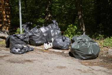 Kyiv, Ukrayna. 21 Nisan 2024. İzinli bir günde, insanlar Holosiivsky Parkı 'nda toplanarak hayvanların temiz bir ortamda yaşamasını sağladılar. Bir şehirde 100 'den fazla insan birleşti. Ukrayna 'nın dört bir yanında temizlik yapılan 5 yer vardı..