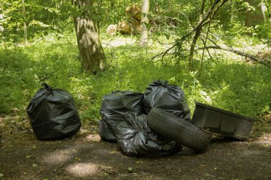 Kyiv, Ukrayna. 21 Nisan 2024. İzinli bir günde, insanlar Holosiivsky Parkı 'nda toplanarak hayvanların temiz bir ortamda yaşamasını sağladılar. Bir şehirde 100 'den fazla insan birleşti. Ukrayna 'nın dört bir yanında temizlik yapılan 5 yer vardı..