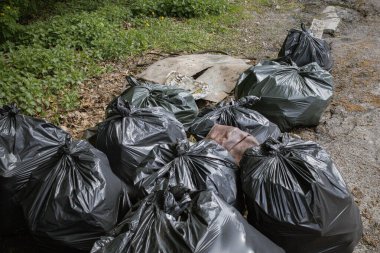 Kyiv, Ukrayna. 21 Nisan 2024. İzinli bir günde, insanlar Holosiivsky Parkı 'nda toplanarak hayvanların temiz bir ortamda yaşamasını sağladılar. Parktan bir sürü çöp çıkarıldı. Bir şehirde 100 'den fazla insan birleşti.