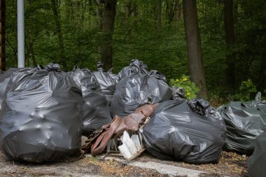Kyiv, Ukrayna. 21 Nisan 2024. İzinli bir günde, insanlar Holosiivsky Parkı 'nda toplanarak hayvanların temiz bir ortamda yaşamasını sağladılar. Parktan bir sürü çöp çıkarıldı. Bir şehirde 100 'den fazla insan birleşti.