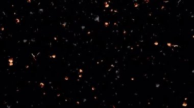 Ateş kül ya da toz parçacıkları, havada bir döngü içinde uçuyor ve yüzüyor, bu karede siyah bir arkaplanı alfa kanalıyla örtüyor..