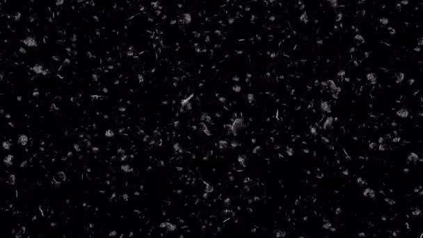 ループの中を飛行して空中に浮かんでいる白い灰か塵の粒子は この静止画のアルファチャンネルで黒い背景を覆います — ストック動画