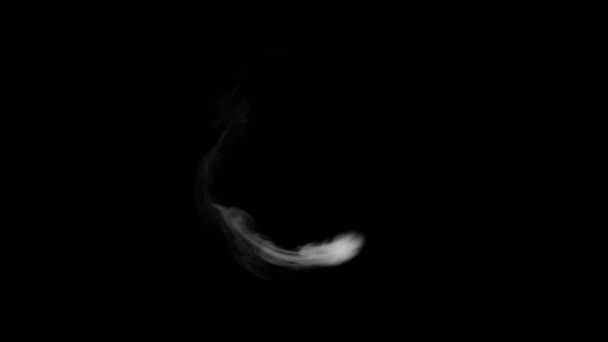 Kouřový Kruh Alfa Kanál — Stock video