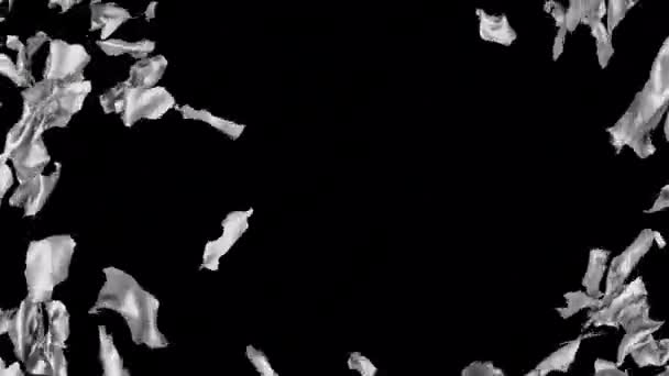 Beyaz Kumaş Yırtılması Alfa Kanalı Ile Ortaya Çıktı — Stok video