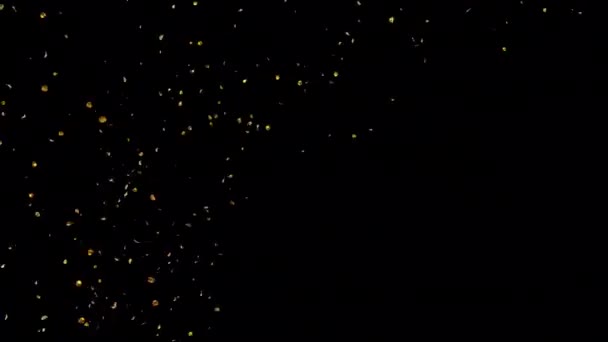 Explosiones Explosión Confetti Oro Con Canal Alpha — Vídeos de Stock