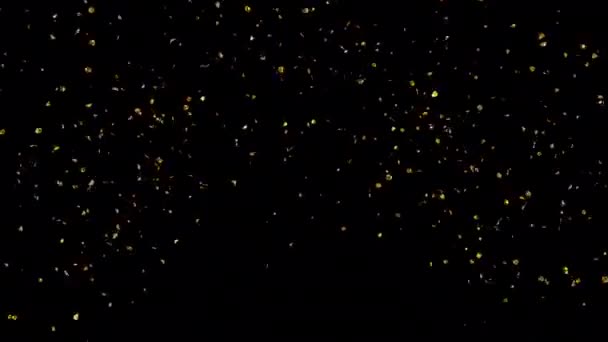 Gold Confetti Blast Explosies Met Alpha Kanaal — Stockvideo