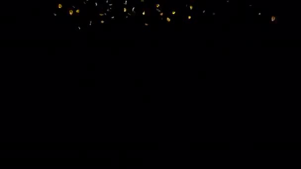 Explosiones Explosión Confetti Oro Con Canal Alpha — Vídeo de stock