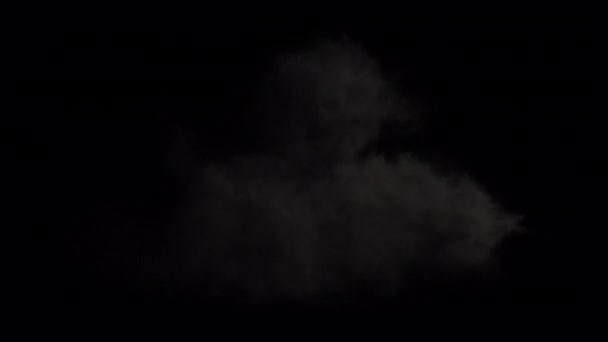 Explosion Isolée Fumée Feu Sol Élevant Air Avec Canal Alpha — Video