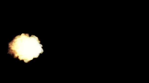 Feuerball Brennt Mit Flammenfeuer Und Rauch Isoliert Auf Schwarzem Hintergrund — Stockvideo
