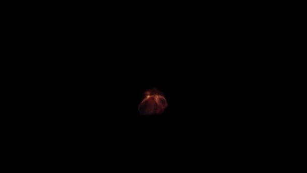 燃烧的烟雾涡旋过渡揭示了被 通道隔离在黑色背景上的叠层 — 图库视频影像