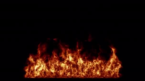 Muro Fuego Ardiendo Bucle Sobre Fondo Alfa — Vídeo de stock