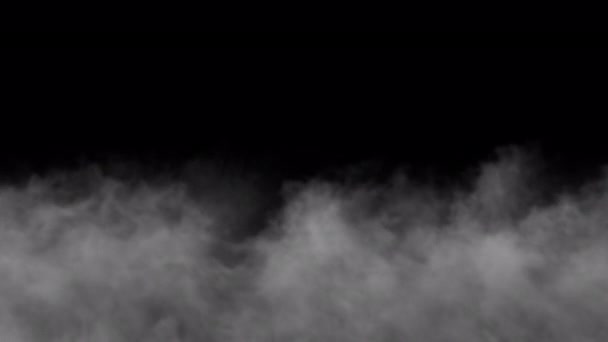 Witte Mist Overgang Alfa Achtergrond — Stockvideo