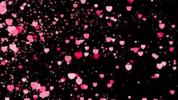 Romántica Transición Las Partículas Del Corazón Rosado Sobre Fondo Alfa — Vídeo de stock