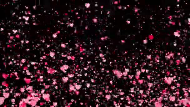 ロマンチックなピンク色のハート粒子がアルファ背景に遷移 — ストック動画