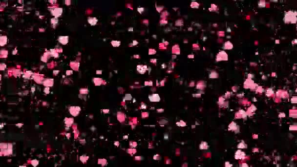 ロマンチックなピンク色のハート粒子がアルファ背景に遷移 — ストック動画