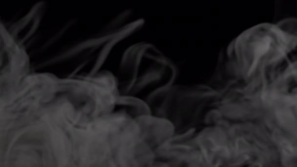 Wispy Rauch Wirbelnden Overlay Auf Alpha Hintergrund — Stockvideo