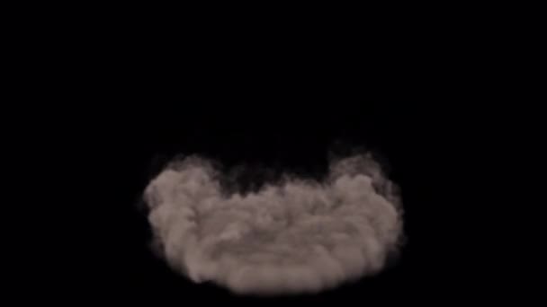 Σκόνη Καπνού Εδάφους Που Φυσάει Φόντο Άλφα — Αρχείο Βίντεο