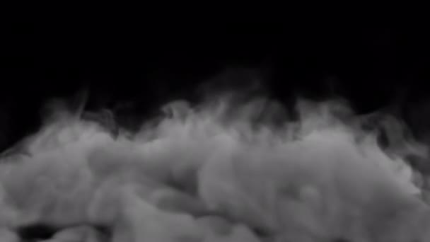 阿尔法背景下的前视图地面烟尘 — 图库视频影像