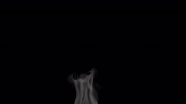 背景上升起的浓烟 — 图库视频影像