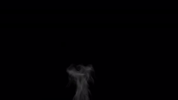 背景上升起的浓烟 — 图库视频影像