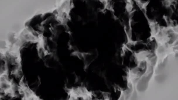 Biały Dym Wieje Przejście Ujawnić Środka Tle Alfa — Wideo stockowe