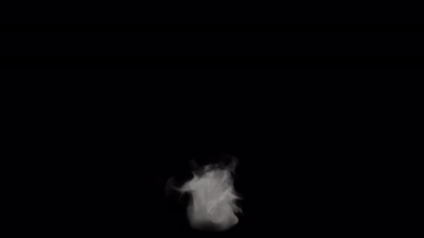 アルファを背景に立ち上がる煙の玉 — ストック動画