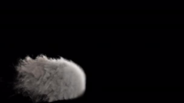 Duman Üfleme Geçişi Alfa Arkaplanında Soldan Sağa Doğru — Stok video