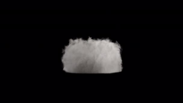 Duman Üfleme Geçişi Alfa Arkaplanındaki Kamerada Göründü — Stok video