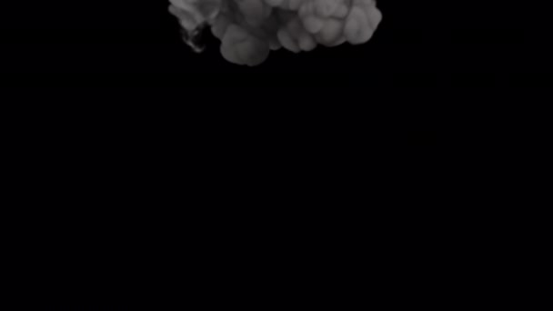 Bílý Kouř Padající Zem Alfa Pozadí — Stock video