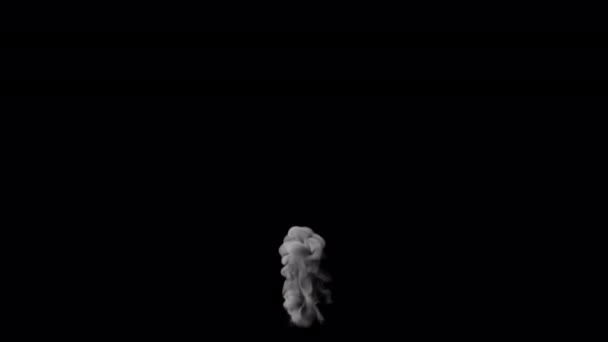 背景下孤立地升起的烟道 — 图库视频影像