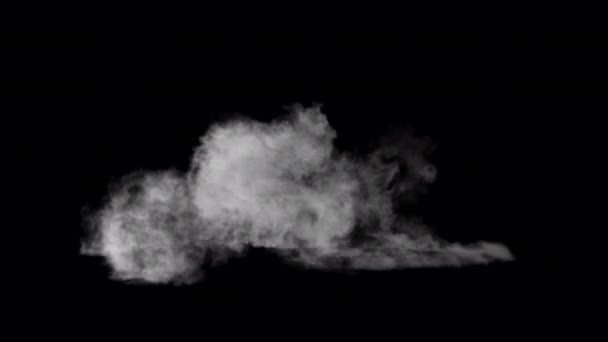 Biały Dym Wieje Nakładki Izolowane Tle Alfa — Wideo stockowe