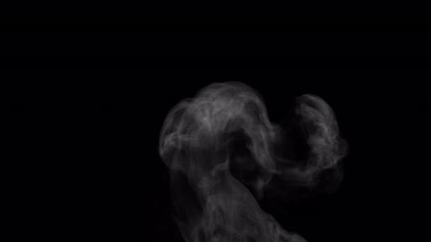 Superposition Montante Fumée Visqueuse Isolée Sur Fond Alpha — Video