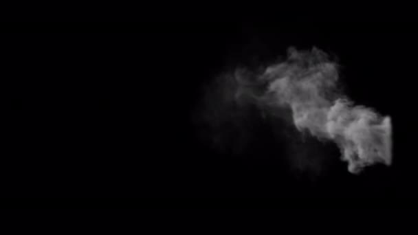 Biały Dym Parowy Nakładka Wydmuchiwanie Izolowane Tle Alfa — Wideo stockowe