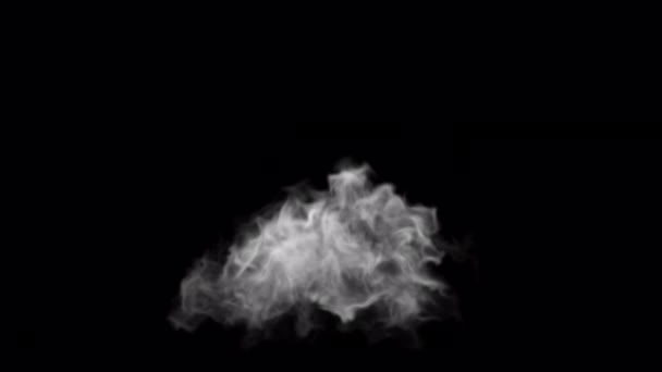 Luchtfoto Witte Rook Blazen Overlay Geïsoleerd Alfa Achtergrond — Stockvideo