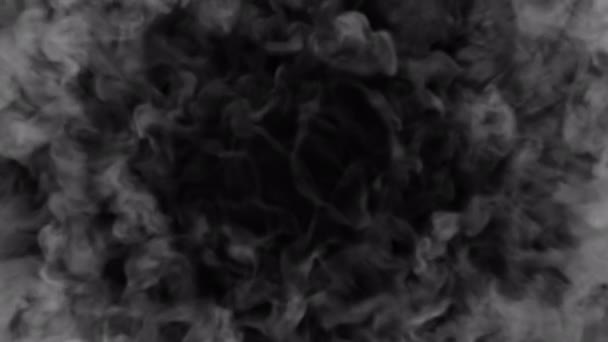 Smoke Schokgolf Blazen Overgang Onthullen Overlay Geïsoleerd Alfa Achtergrond — Stockvideo